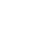rose gold charcuterie logo 